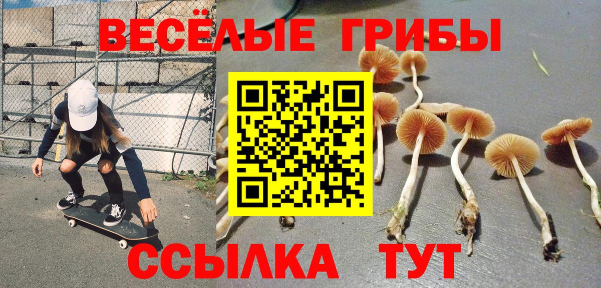Псилоцибиновые грибы Magic Shrooms  Вход с VPN  Люберцы  Галлюциногенные грибы Psilocybine cubensis 