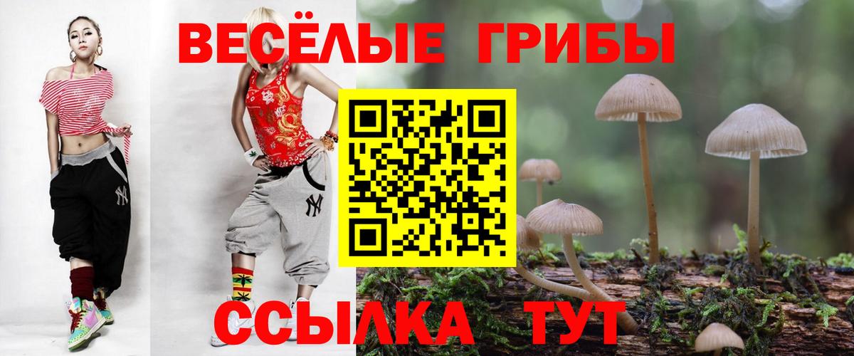 Псилоцибиновые грибы мухоморы Люберцы